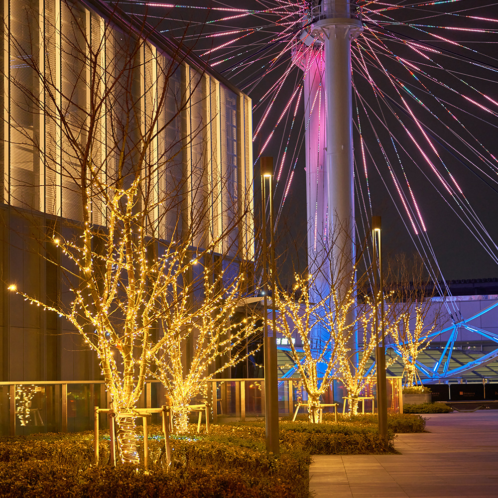 led string lights, ambient lights, outdoor colored lights, string lights, starry sky, wedding decoration lights, lighting project, solar string lights details Picture