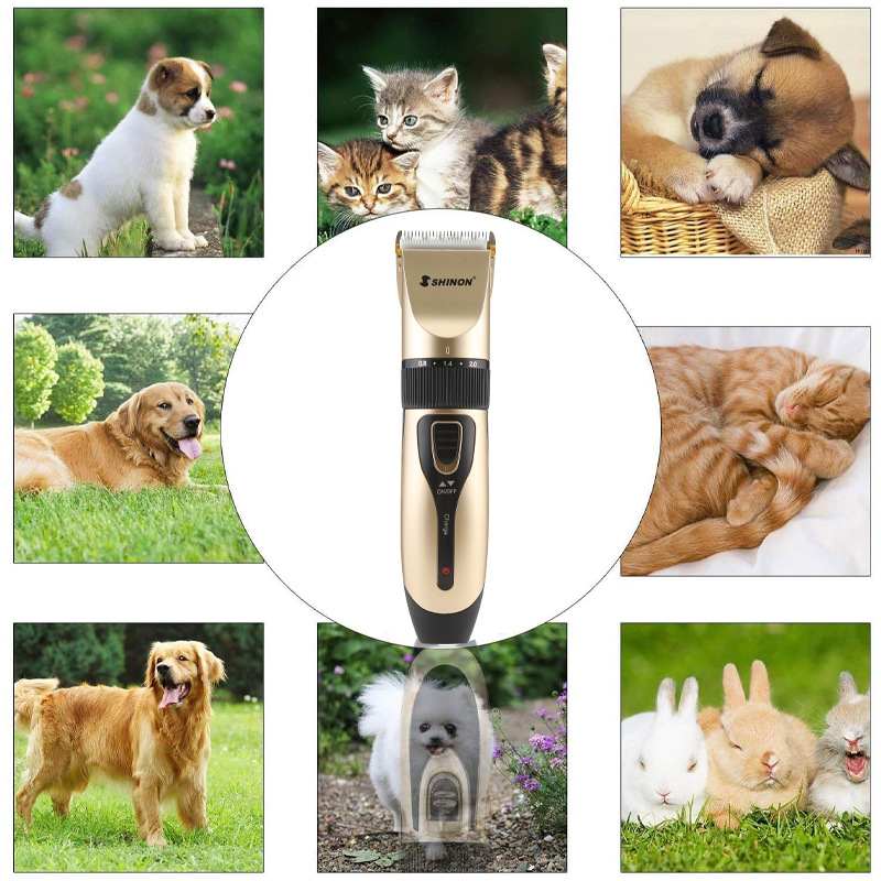 Cross-border wholesale of rechargeable dog shavers, ceramic hair clippers, large dog and cat hair clippers, pet electric hair clippers SHINON details Picture