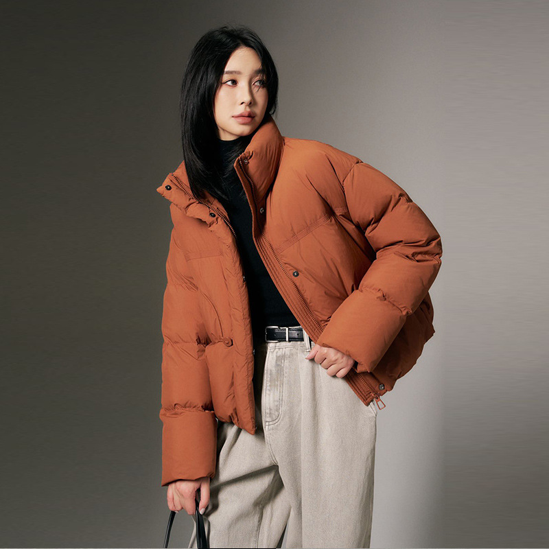 Korean version 2025 winter new loose stand-up collar short down jacket for women wholesale, 90 duck down, high quality, one-piece consignment details Picture