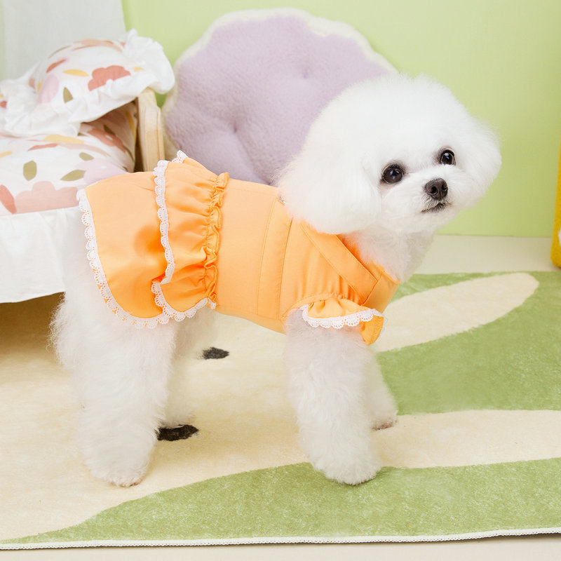 狗衣服细节图
