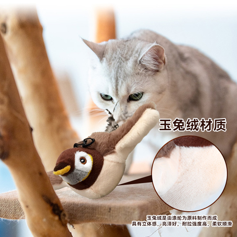 猫猫牵引实物图