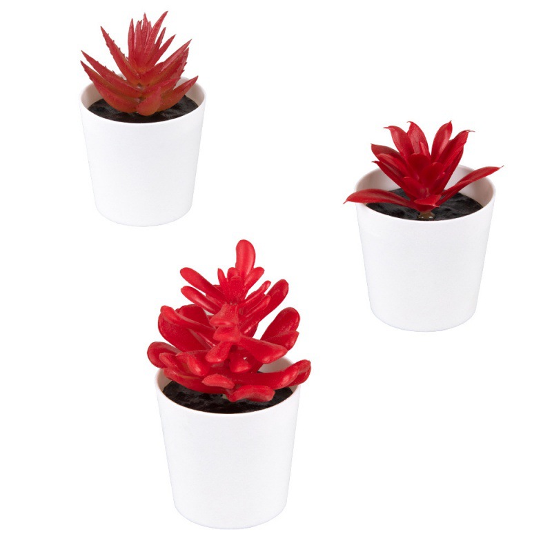 Flocked hard material, small aloe vera, mini potted plant, imitation plastic, frosted small potted plant, desktop decoration, gift, imitation succulent details Picture