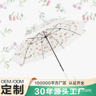 透明伞8骨女日系简约ins卡通彩色弯柄直杆雨伞纤维骨坚韧防风拒水