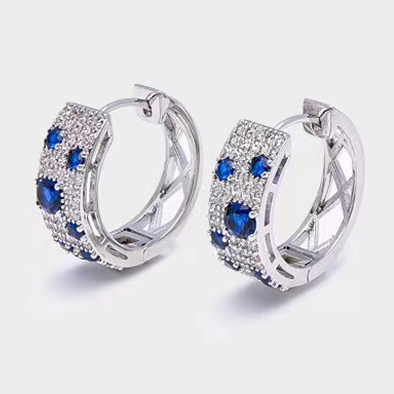 Wholesale of 2023 cross-border blue and white diamond high-end earring women's micro studded with zircon, unique and fashionable earrings