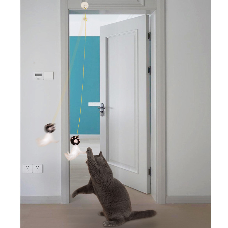 Cat self-entertainment, cat toys, hanging door, swing, telescopic clasp, pet supplies, cat toys, new Amazon style