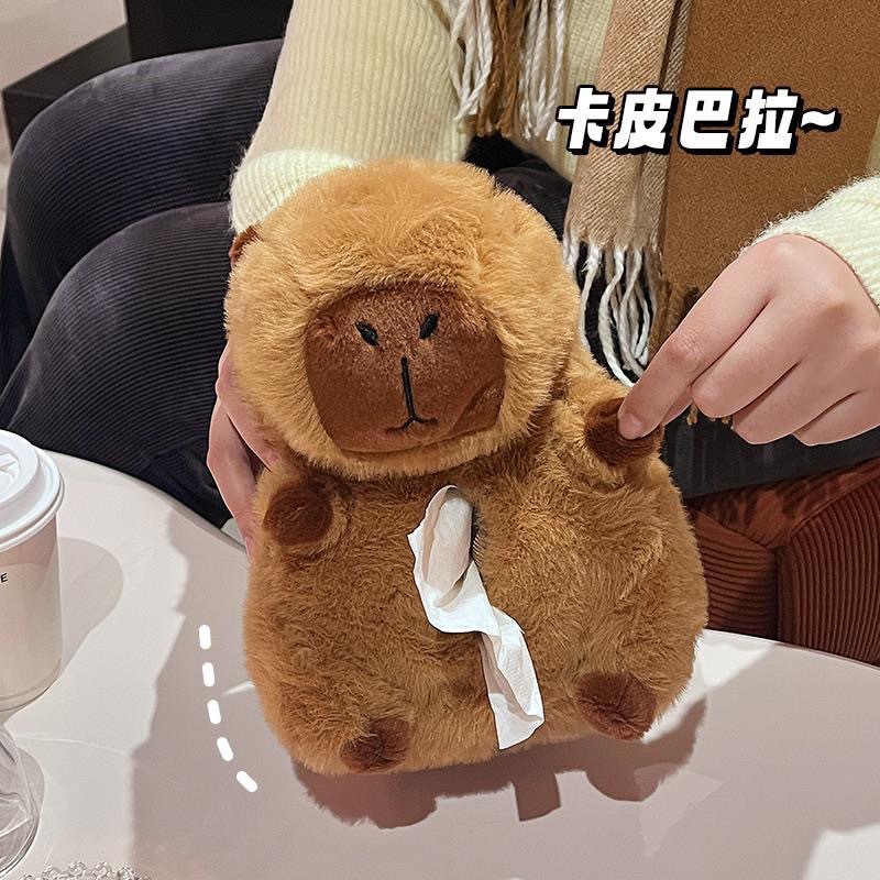 车用纸巾盒/套实物图