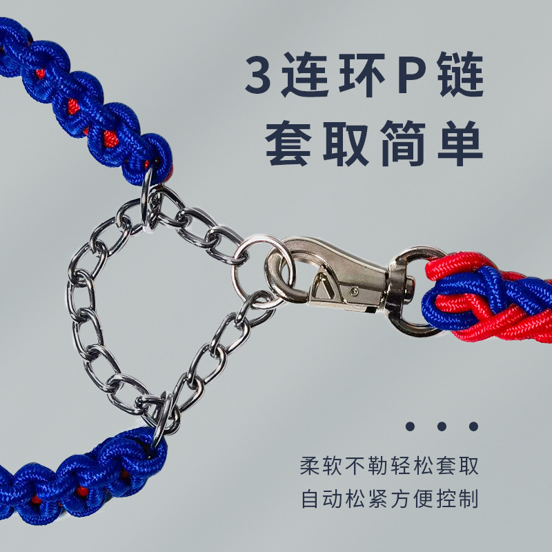 Factory direct sales of eight-strand pet leashes, dog woven collars, explosion-proof impact leashes, nylon dog leashes wholesale Application Scenario