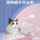 蜗牛款宠物饮水机饮水器 猫咪喝水器 插电自动循环流动不湿嘴水盆图