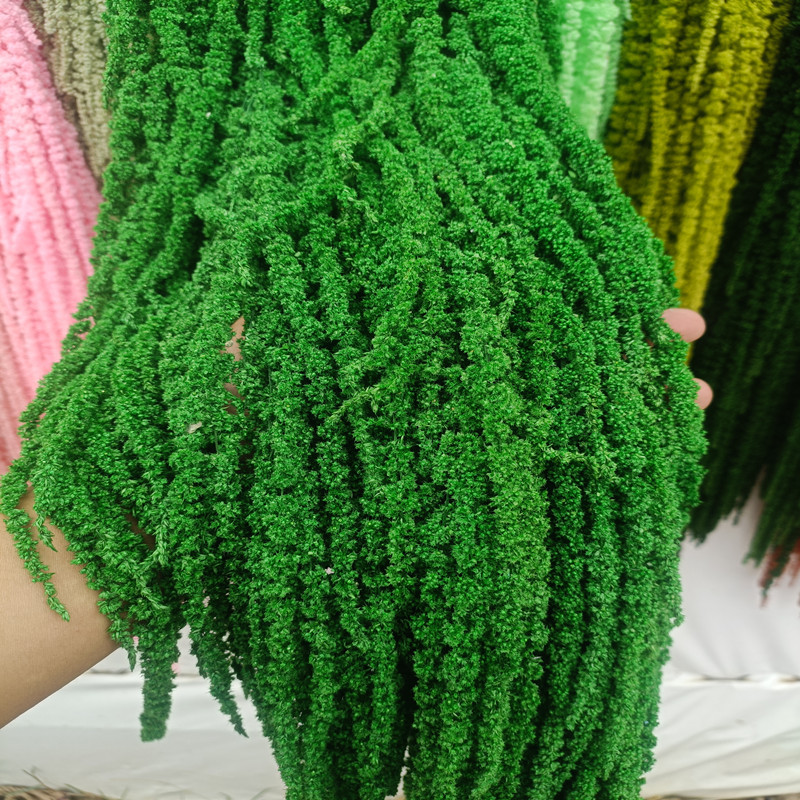 Dried flowers, preserved flowers, preserved hanging rice, Roulisi wedding decoration, hanging factory, direct delivery, preserved hanging rice wholesale, dried flowers pic 15