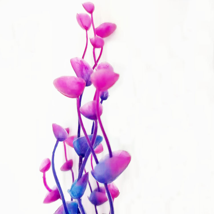 Fish tank landscaping, aquarium decoration, simulated water plants, bubble-stone base ornaments, living room household aquarium products Specification image