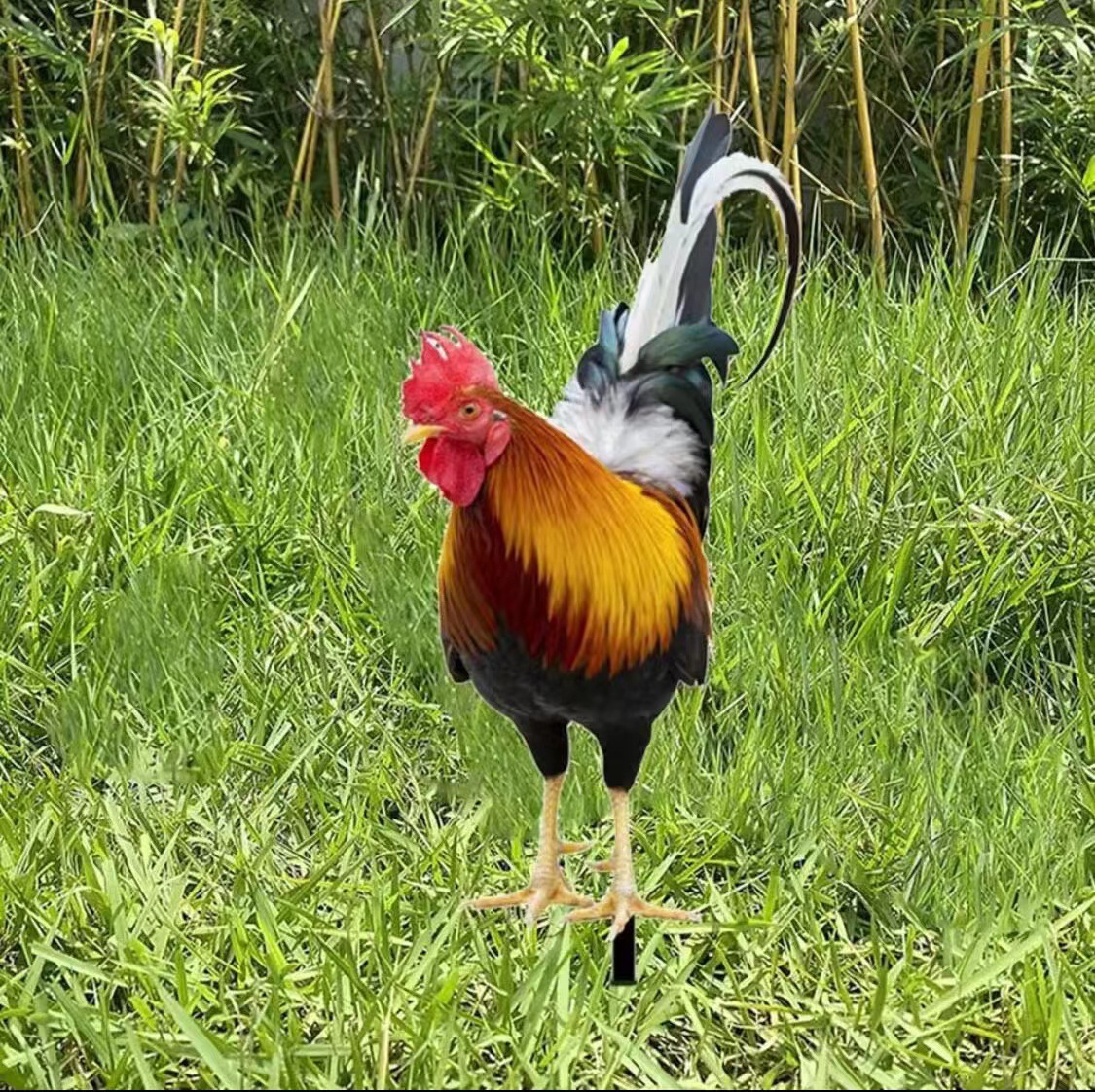Cross border three-dimensional simulation rooster courtyard ground insert acrylic garden outdoor decoration mirror plug-in full figure