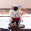 Cute Instagram Doctor Bear small pendant, plush toy doll, mini teddy bear bag, bag hanging decoration, keychain details Picture
