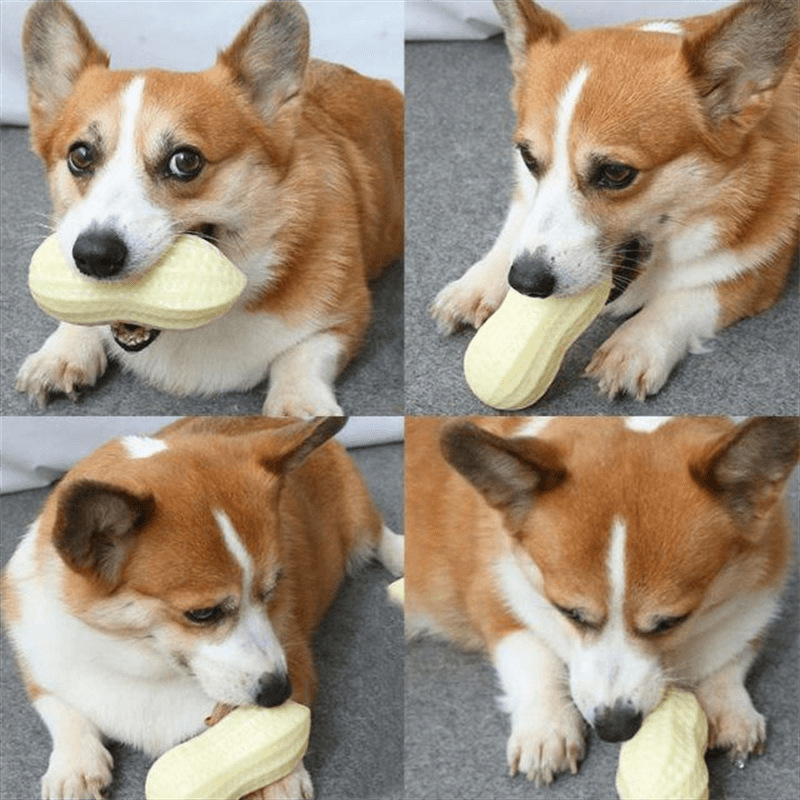 Yesen Pet Supplies, wholesale of pet peanut toys. Dogs can make sounds to relieve boredom, grind their teeth, and are tough to chew. The dog toys are hard to chew Application Scenario