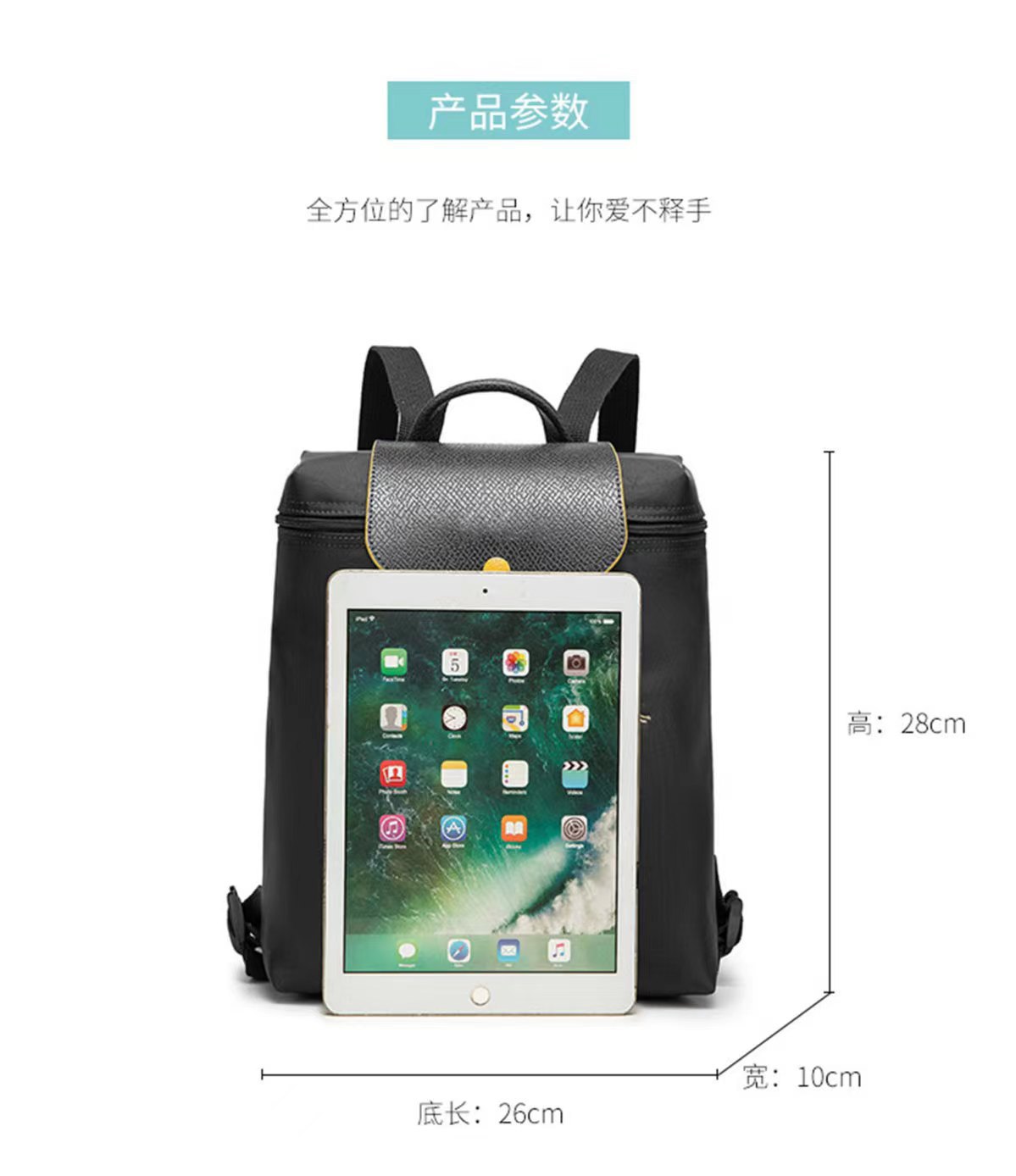 French Longchamp Bag 70Th Anniversary Edition Backpack Casual Student Backpack Backpack Embroidery Fashion Brand Item Picture