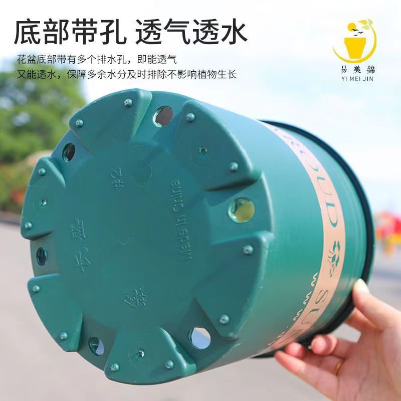 花盆容器实物图