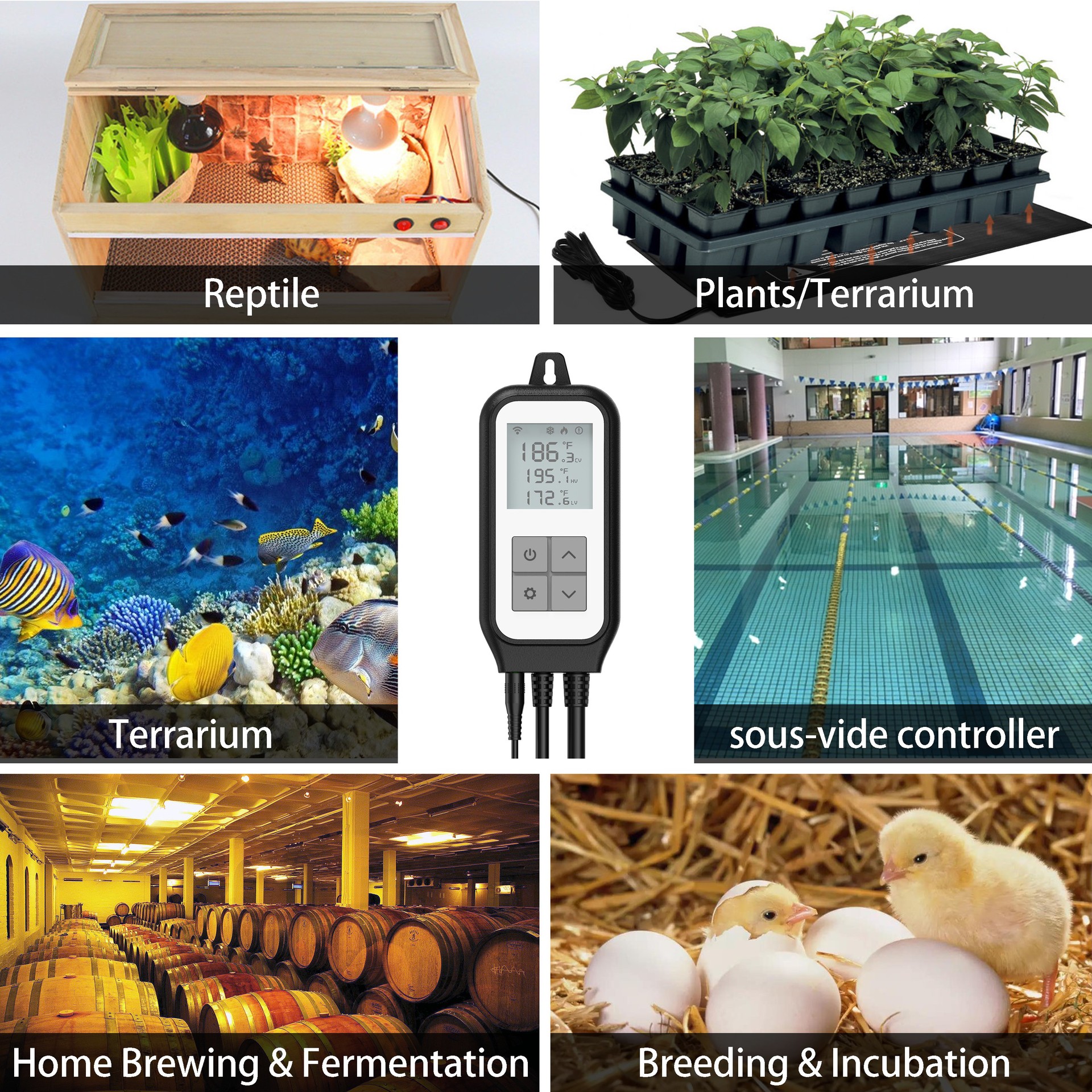 European standard temperature control socket, Graffiti smart socket, voice, mobile phone remote control, WIFI automatic temperature regulator Application Scenario