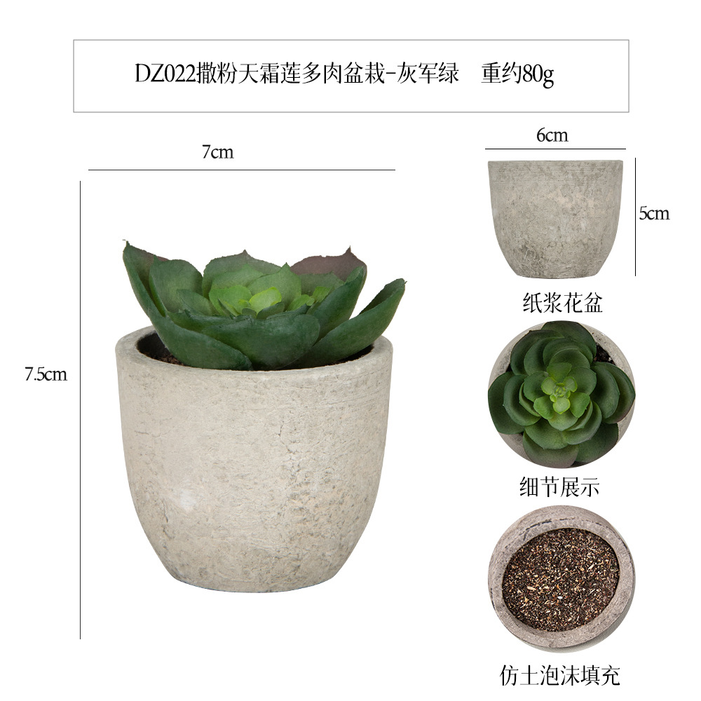 Amazon Simulation Succulent Pulp Pot 5-piece Home Decoration simulation Plant succulent bonsai set Specification image