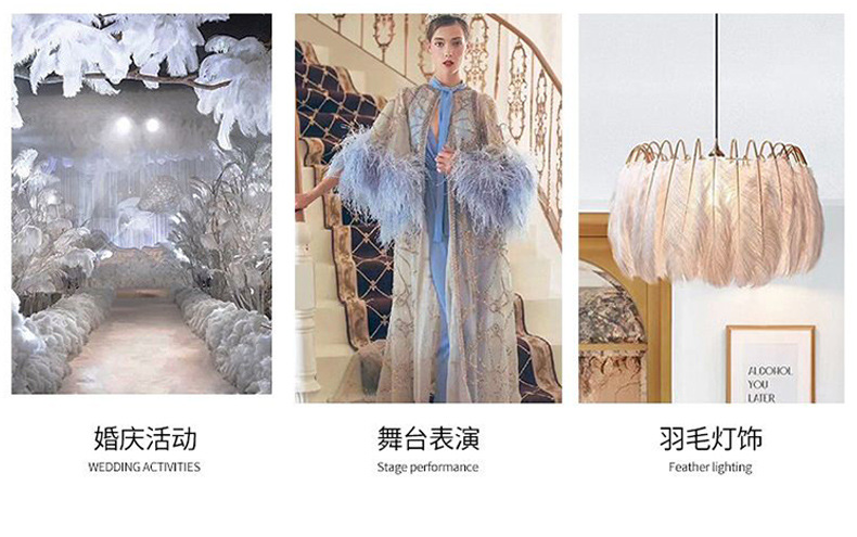 厂家直销15-80cm鸵鸟毛舞台布置真羽毛发夹装饰插花婚庆布置羽毛详情20