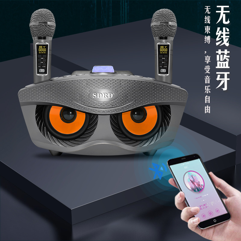SD306plus upgrade owl familia KTV micrófono inalámbrico bluetooth audio todo en uno doble coro details Picture