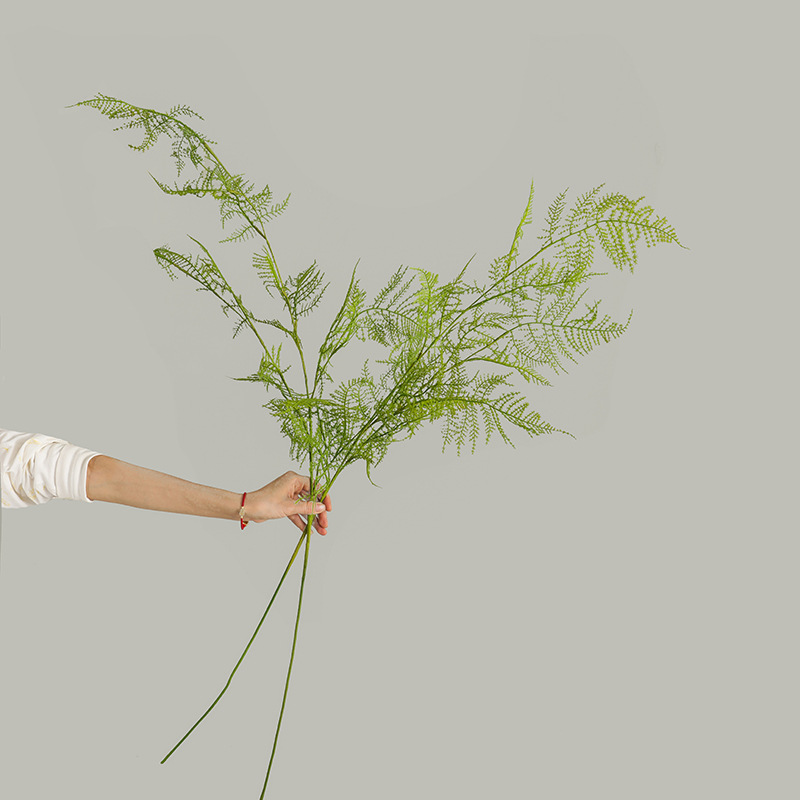 仿真植物实物图