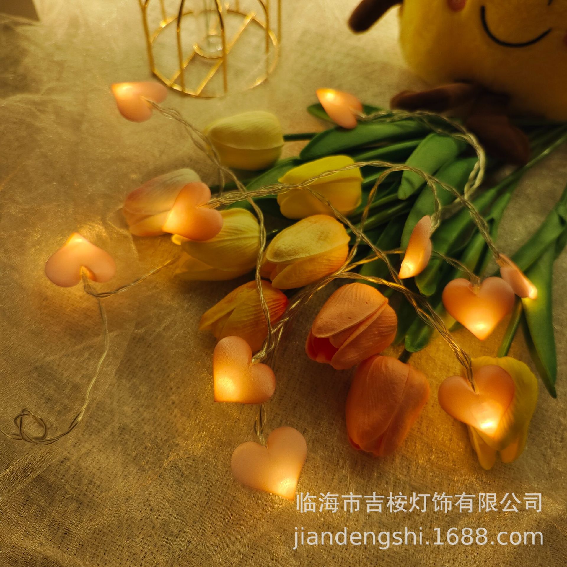 室内LED灯串实物图