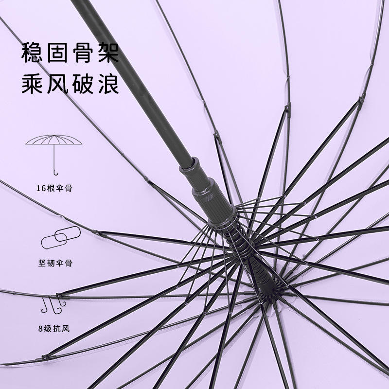 import细节图