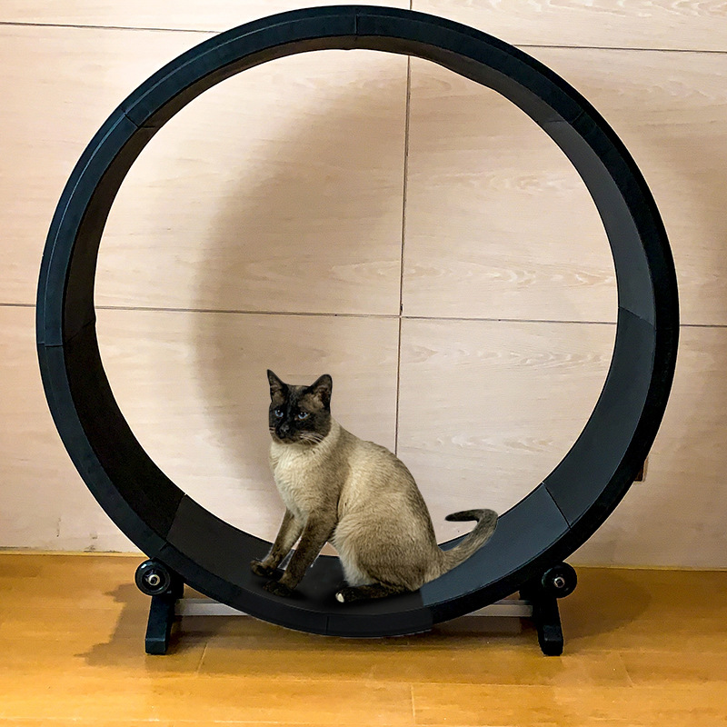 猫咪跑步机健身减肥磨爪猫咪滚轮多功能静音宠物跑步机逗猫玩具
