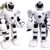 Alpha Intelligent robot remote-controlled RoboCop programming dancing robot Boy gift model toy Item Picture