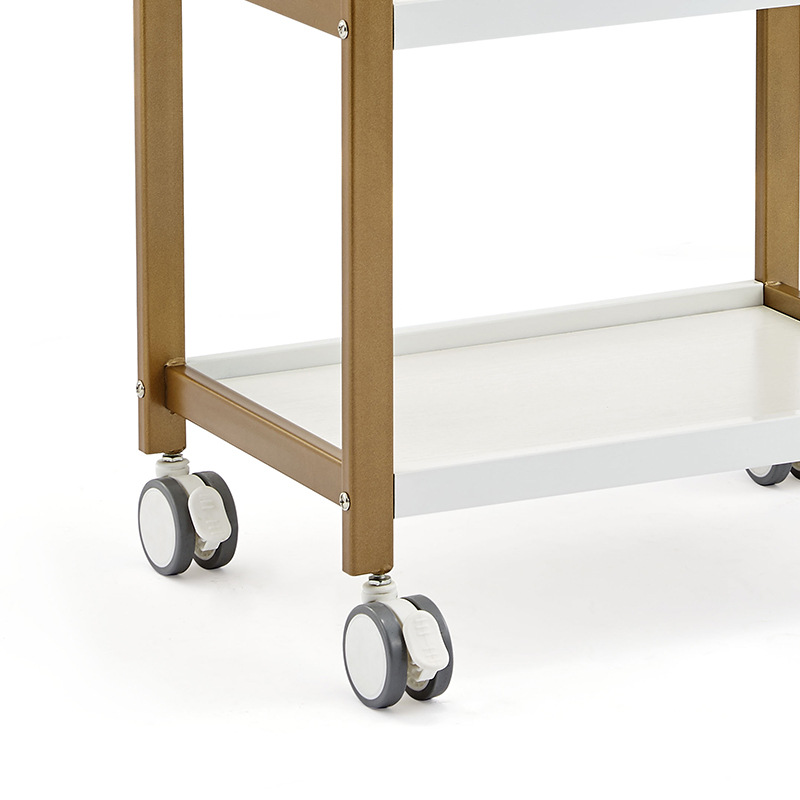 美容院用小汽泡仪器车架子手术器械推车多功能置物架工具车详情图2