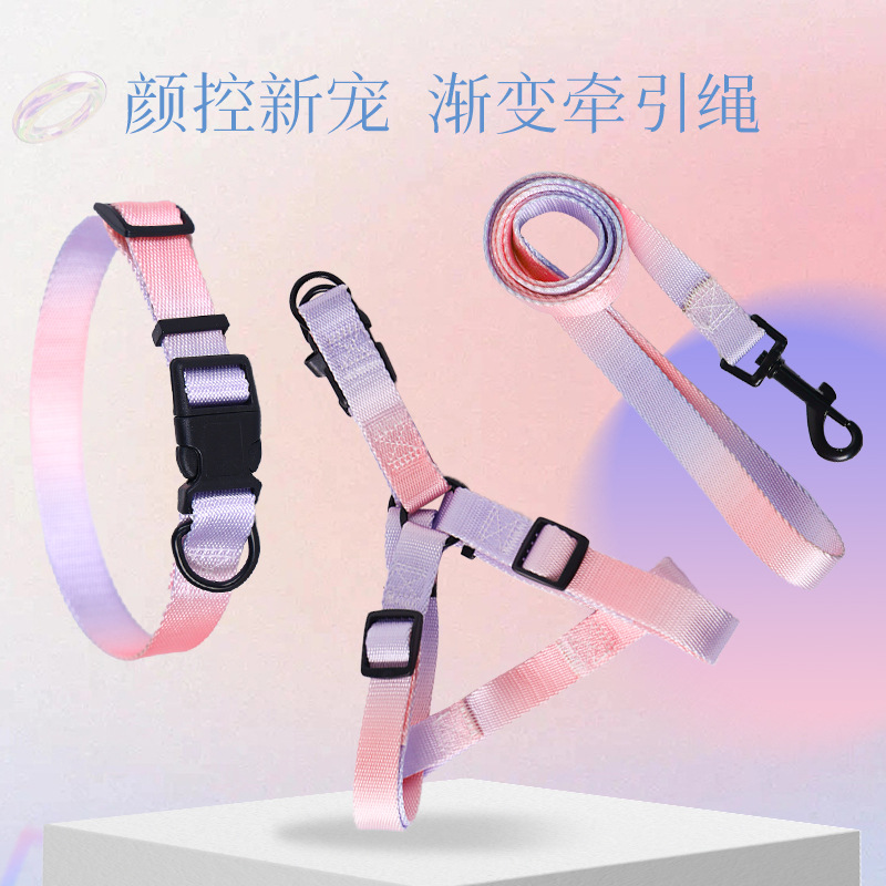 狗狗牵引实物图