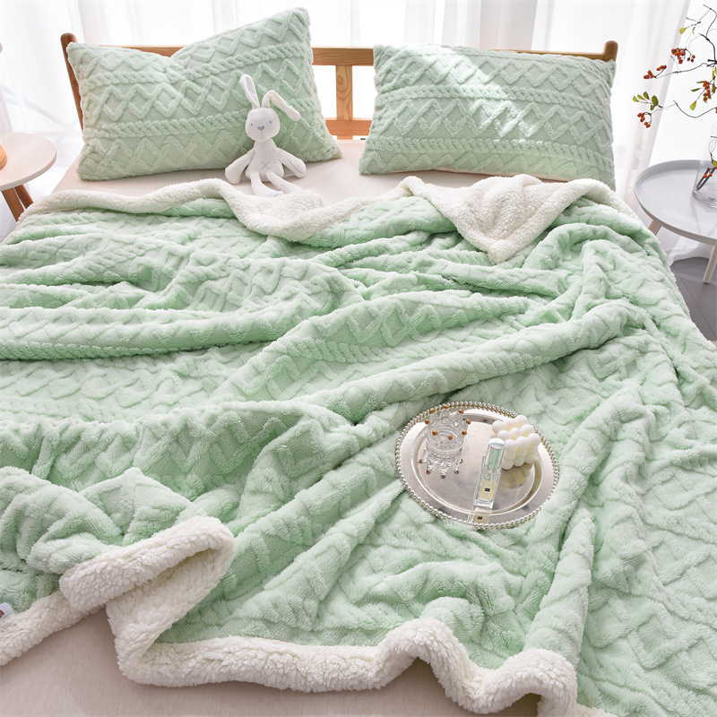 Autumn And Winter Solid Color Tuff Wool Blanket Thick Warm Blanket Will Sell Gift Blanket Custom Wholesale details Picture