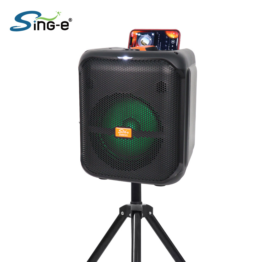 Sing-E Zqs8181 Portable Home Stereo Subwoofer Karaoke Speaker With Microphone Stand