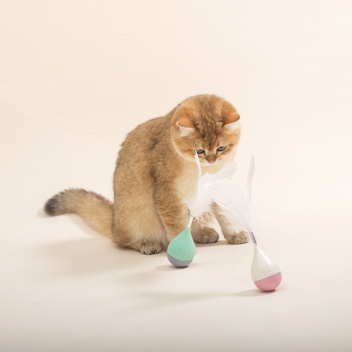 New Feather Tumbler Cat Toy Goose Feather Spot Manufacturers Spot Wholesale Cat Supplies Teasing Cat Toys details Picture