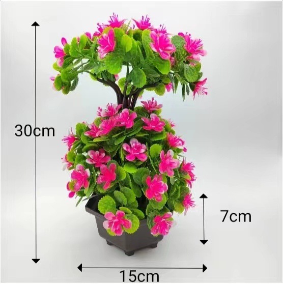 الطبق المزدوج لحدائق النباتات المزهرية Item Picture