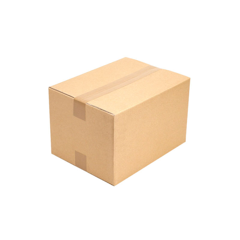 import白底实物图