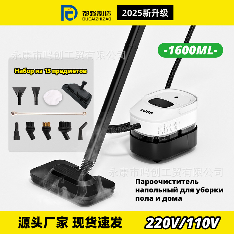 跨境多功能蒸汽拖把 高温高压蒸汽清洁机家用厨房清洗机220V/110V