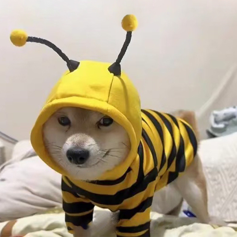 狗狗衣服可爱小蜜蜂卫衣泰迪比熊博美金毛柴犬中小型犬秋冬猫衣服