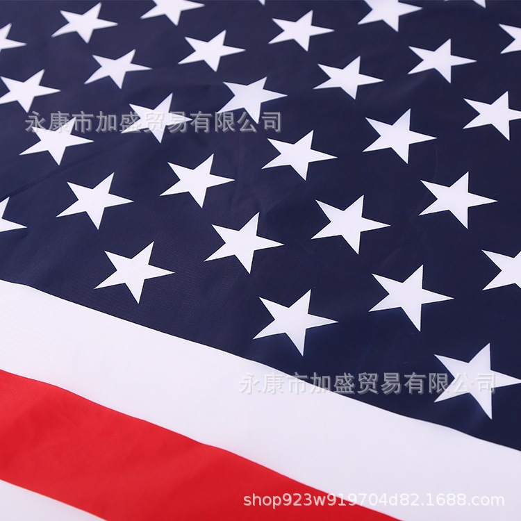 小国旗/国旗/美国大选/旗帜/特朗普细节图