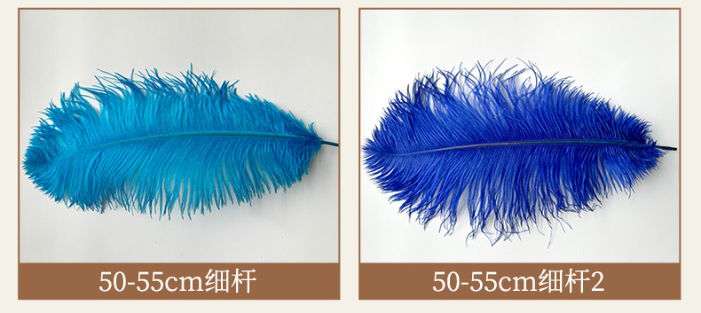 厂家直销15-80cm鸵鸟毛舞台布置真羽毛发夹装饰插花婚庆布置羽毛详情15