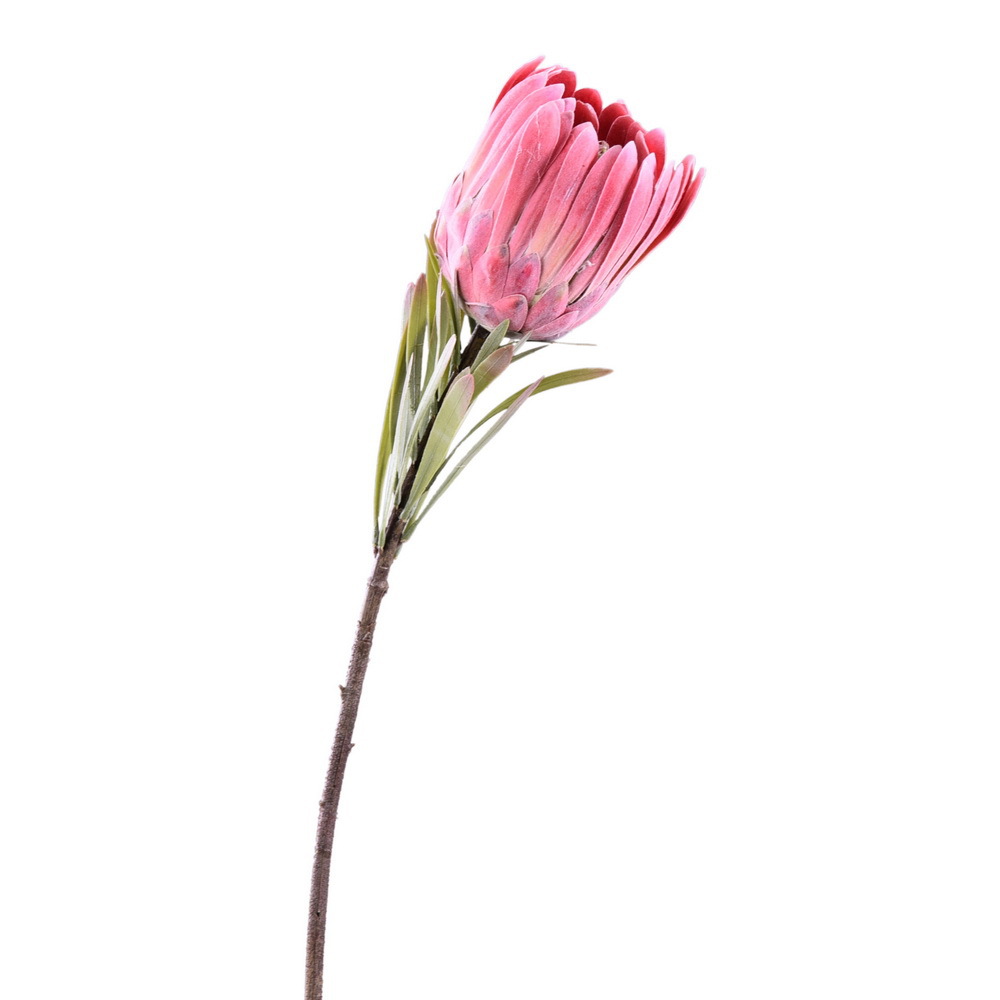 仿真公主花/仿真帝王/装饰假花白底实物图