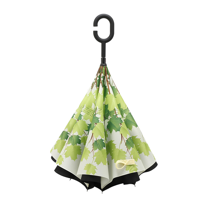 import白底实物图