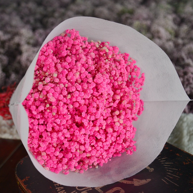 云南永生满天/满天星干花批/永生满天星批产品图