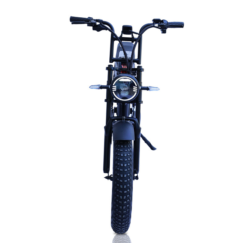 20 Inch Fat Tire Snow Electric Bicycle Variable Speed Folding Power Beach Off-Road Lithium Electric Mountain Bike Item Picture