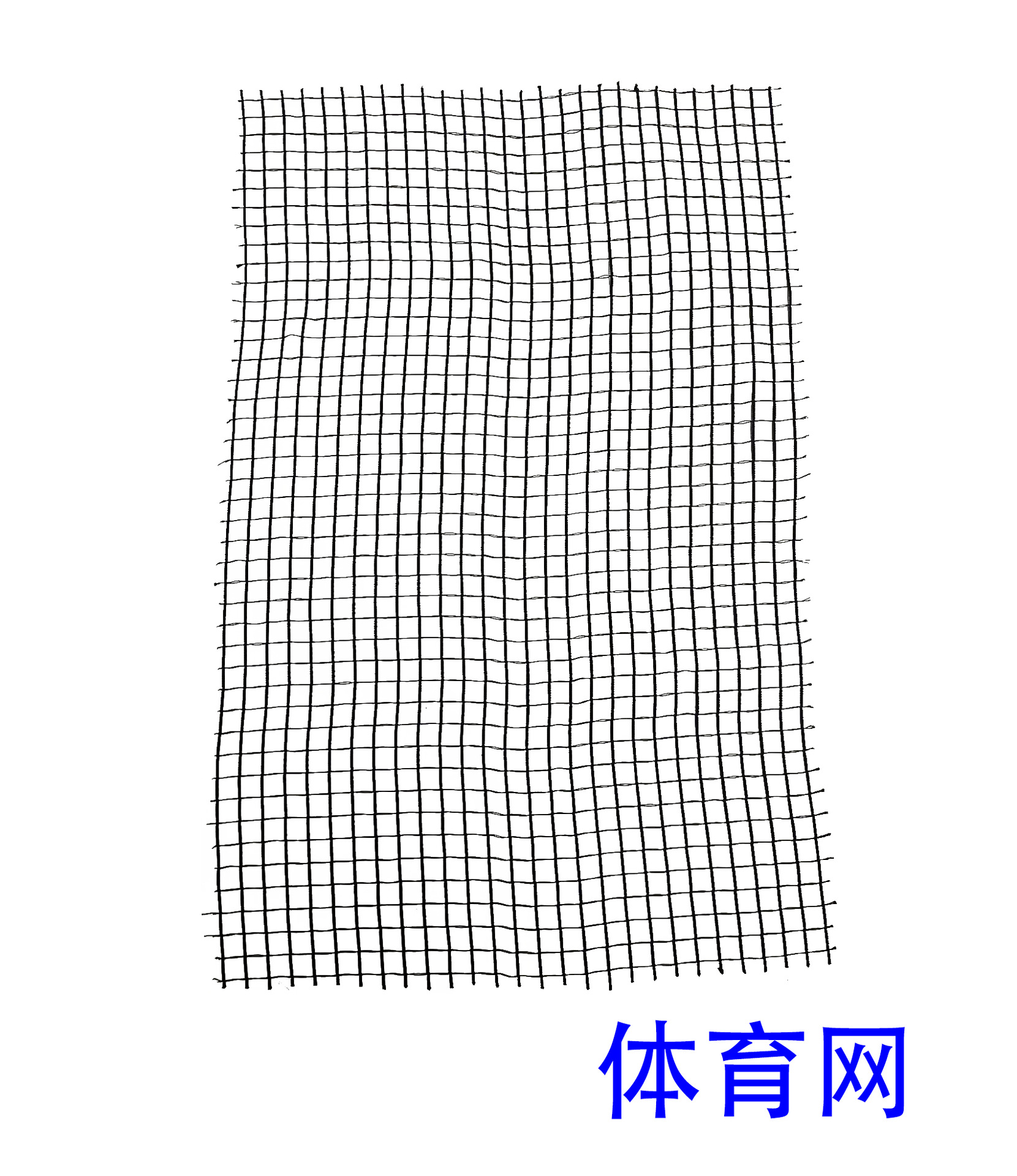 原材原厂加工体育网安全网 无弹力 网沙滩椅办公椅靠背网布