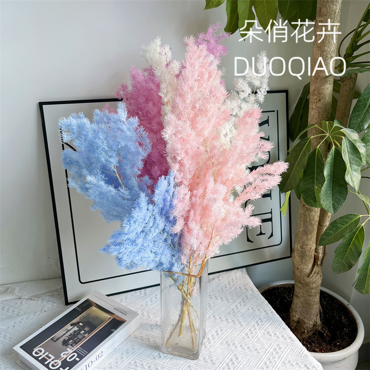 import产品图