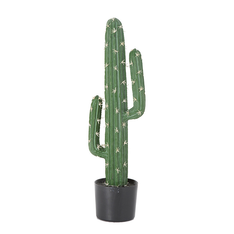 仿真竹子植物/仿真富贵竹白底实物图