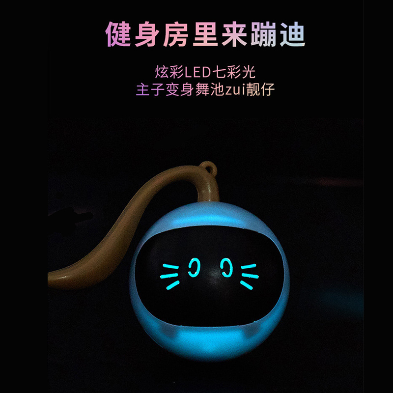 Pet toy smart rolling cat ball toy LED bite resistant light up fun chasing toy pet cat ball details Picture