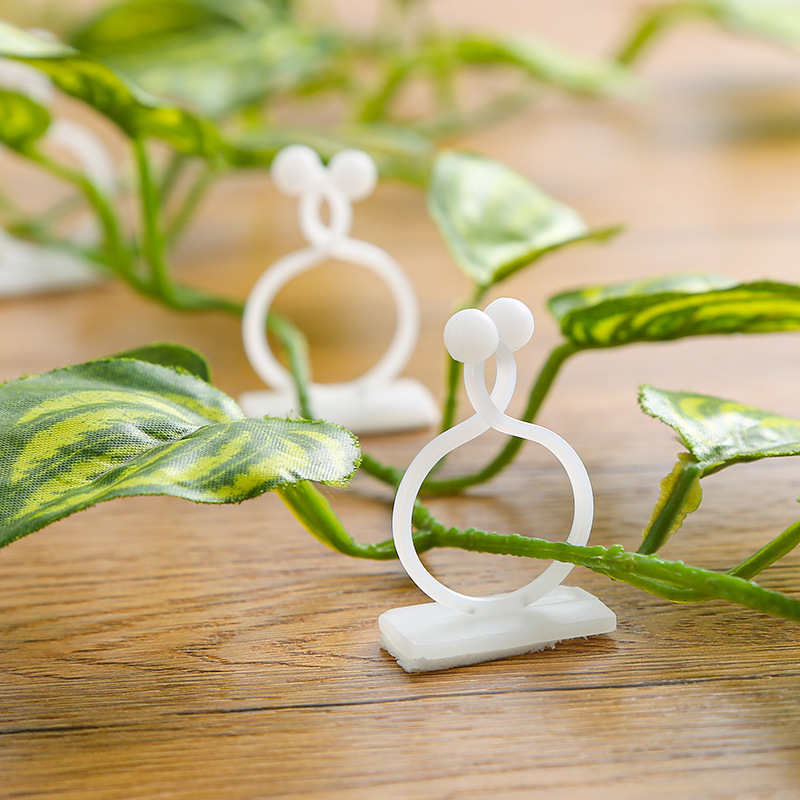 Green plant climbing wall retainer vine plant wall climbing device line traceless climbing vine model retainer details Picture