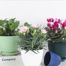 新款简约塑料树脂送托盘加厚绿植盆栽彩色圆形盆