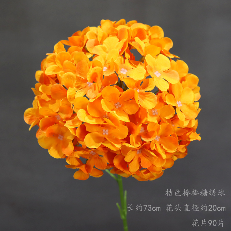 仿真植物实物图